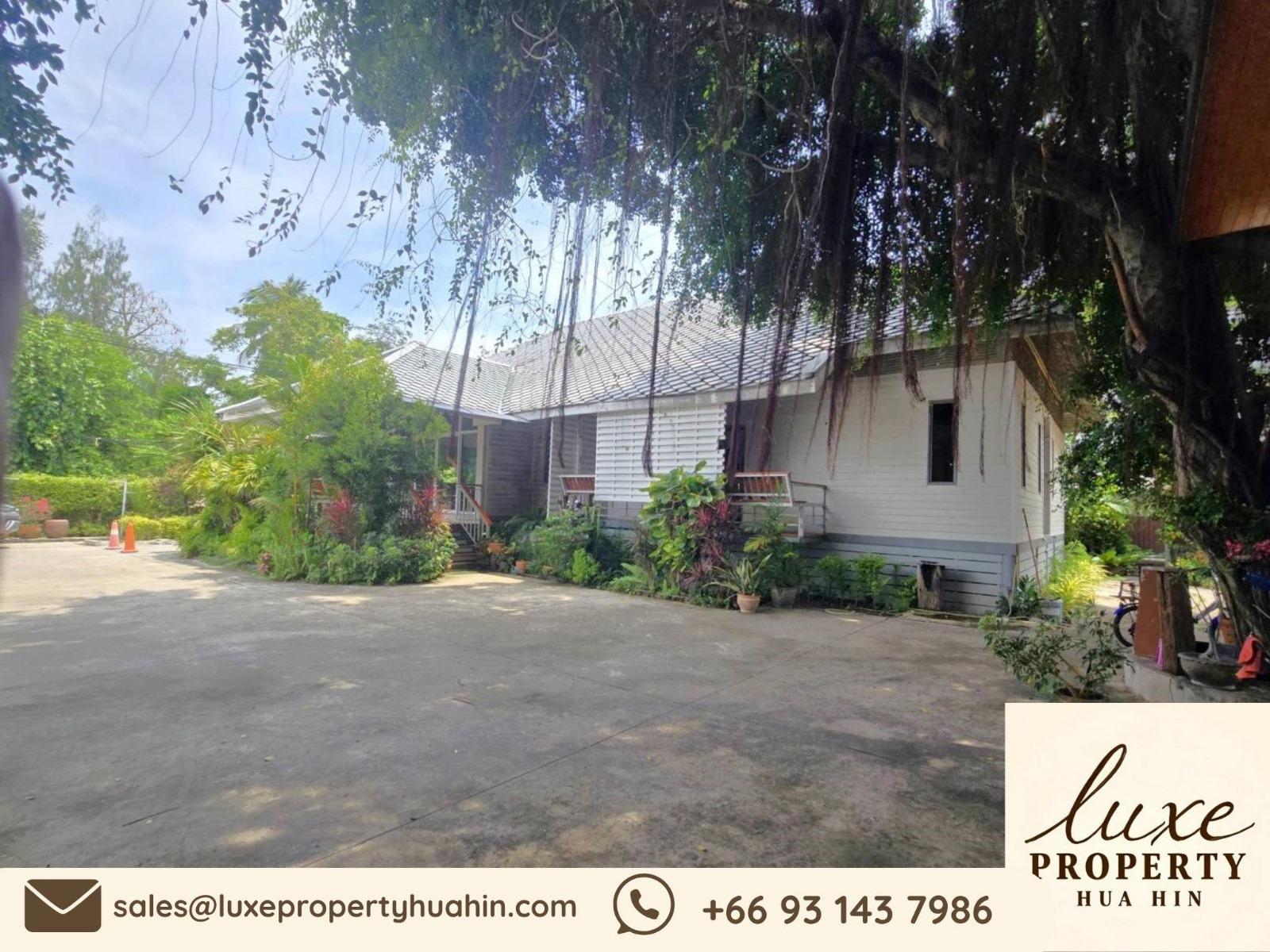 WhatsApp Image 2025-05-30 at 12.25.49 PM (1)