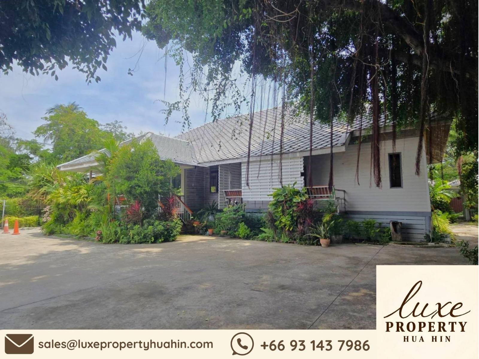 WhatsApp Image 2025-05-30 at 12.25.51 PM (3)