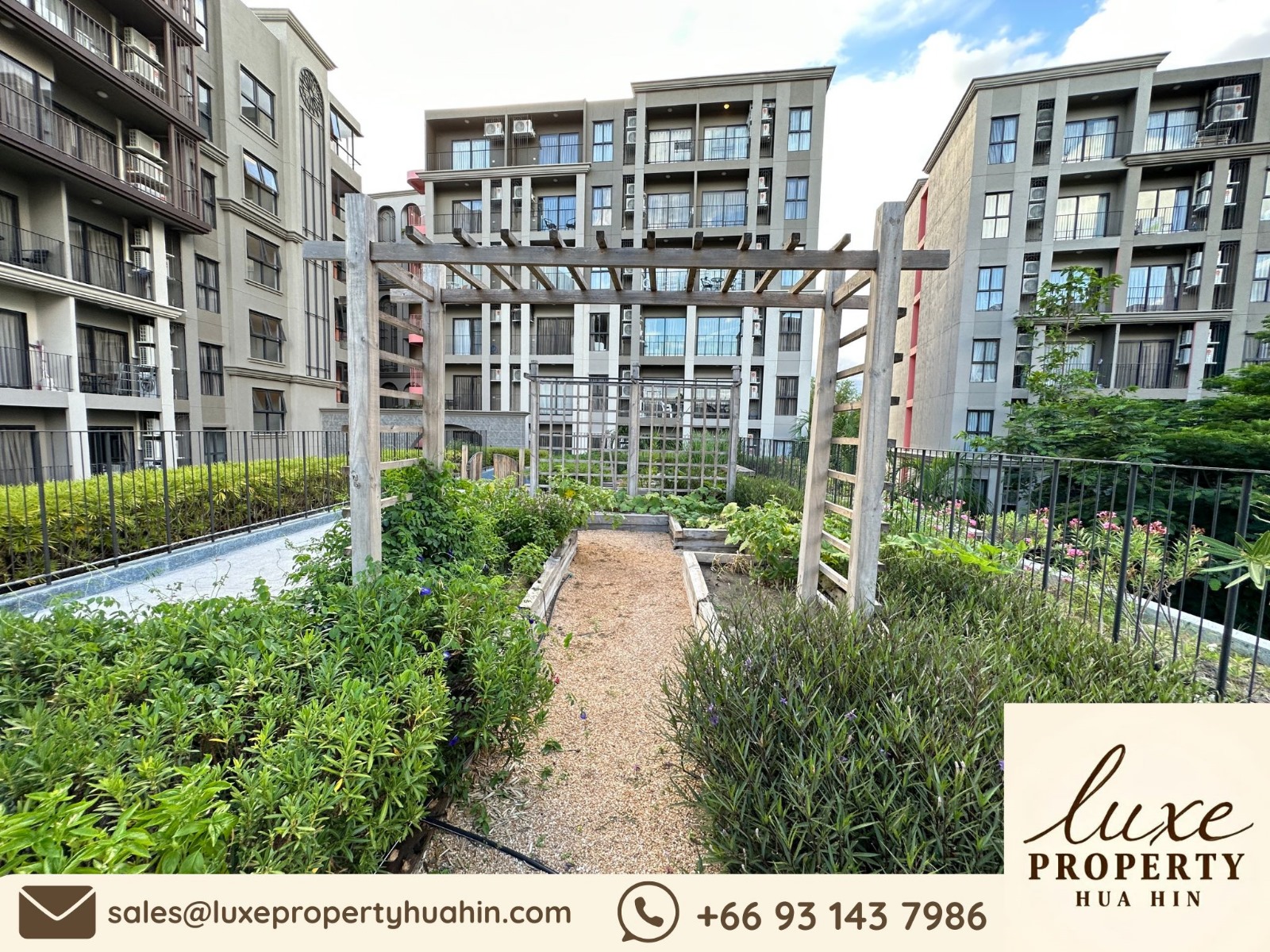 10c1d46c-5b1e-47a2-b696-fddb04139b45