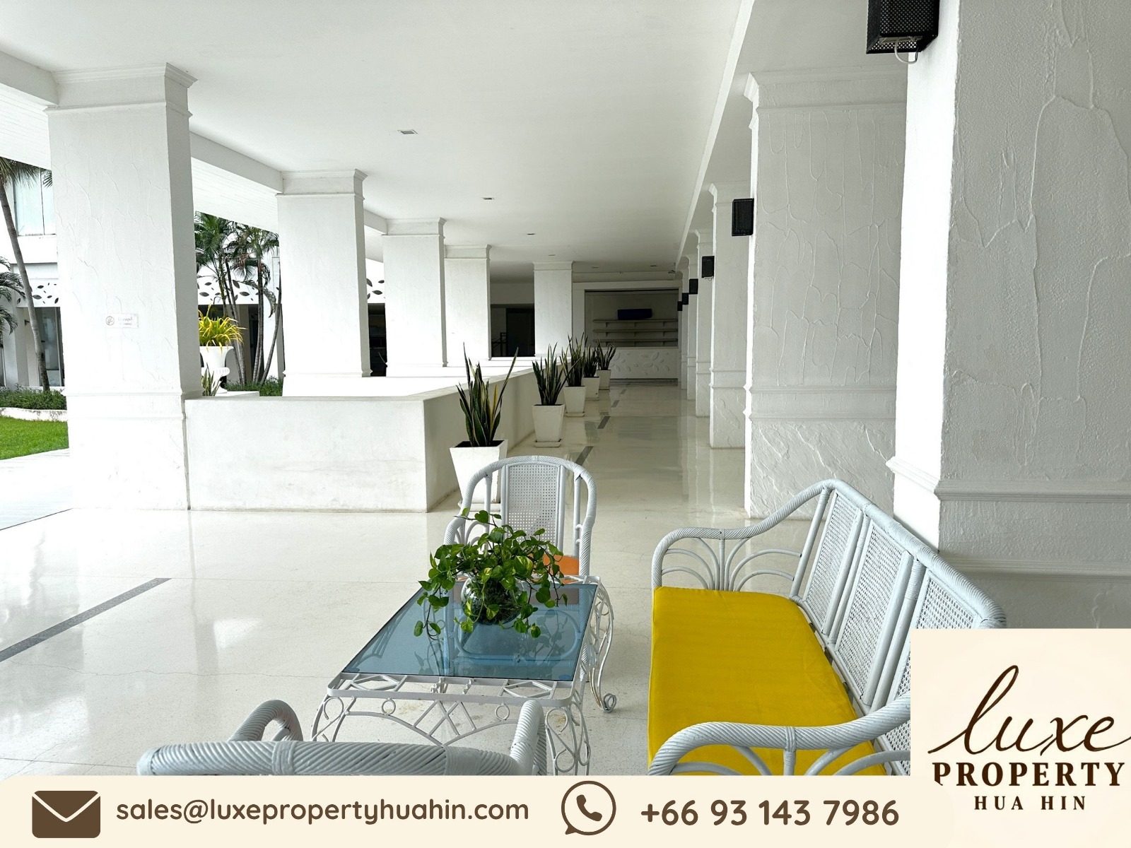 81e3b05e-0b16-4812-b606-805a91a44d91