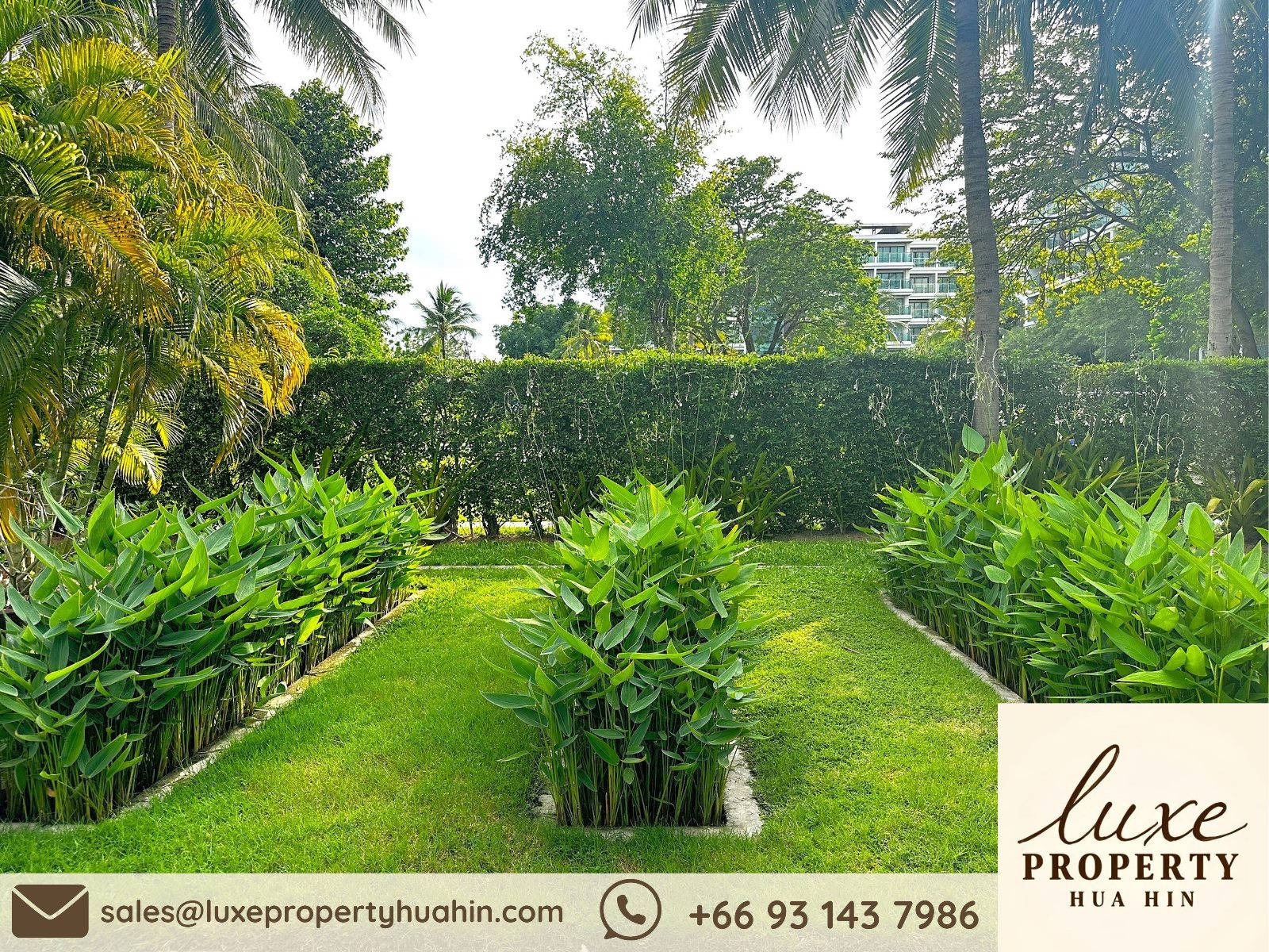 e36ac55d-769c-4e00-a100-bc3d9e8e886e