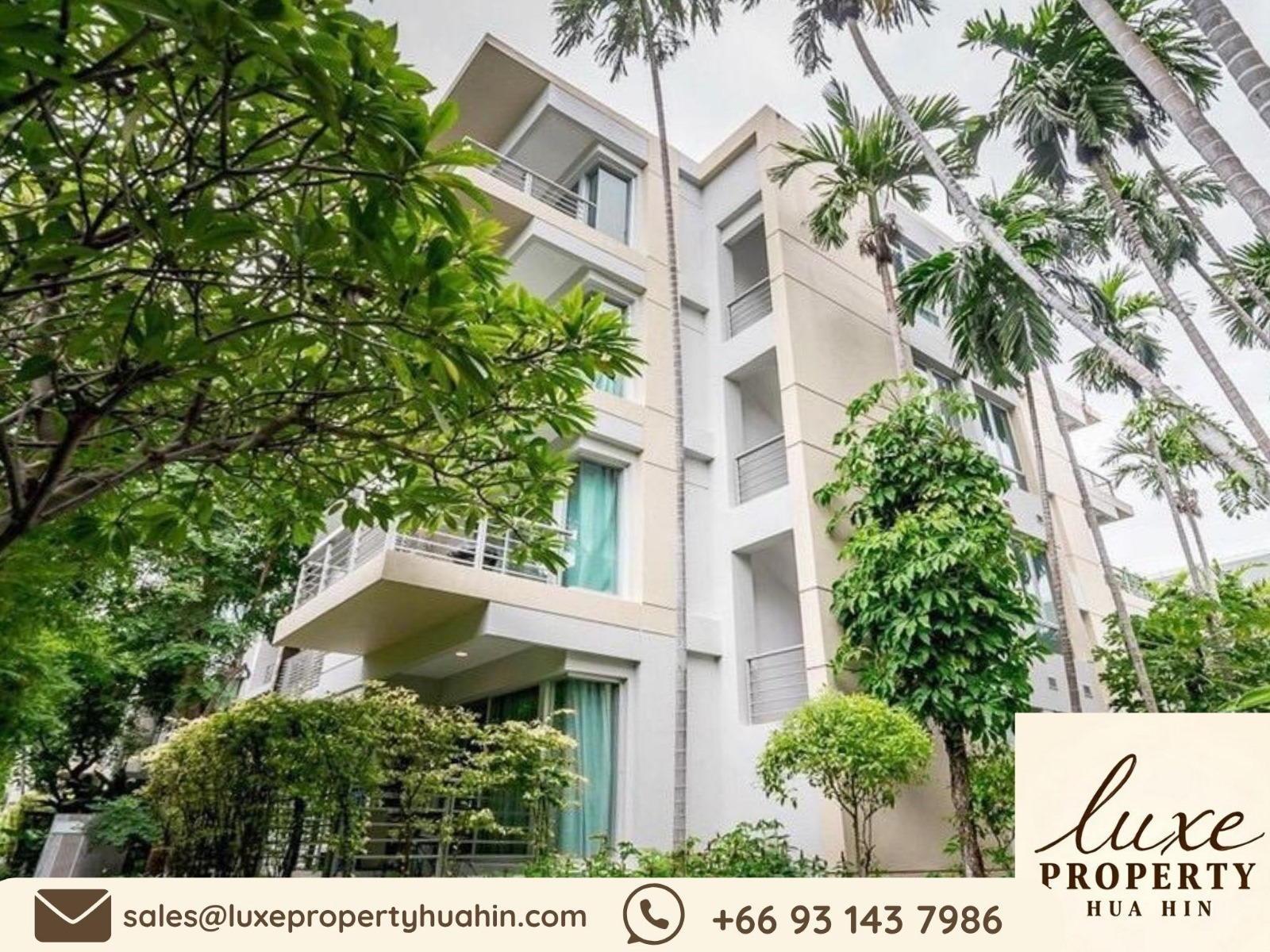 8d99e987-c27c-4e50-b552-5657827c55d5