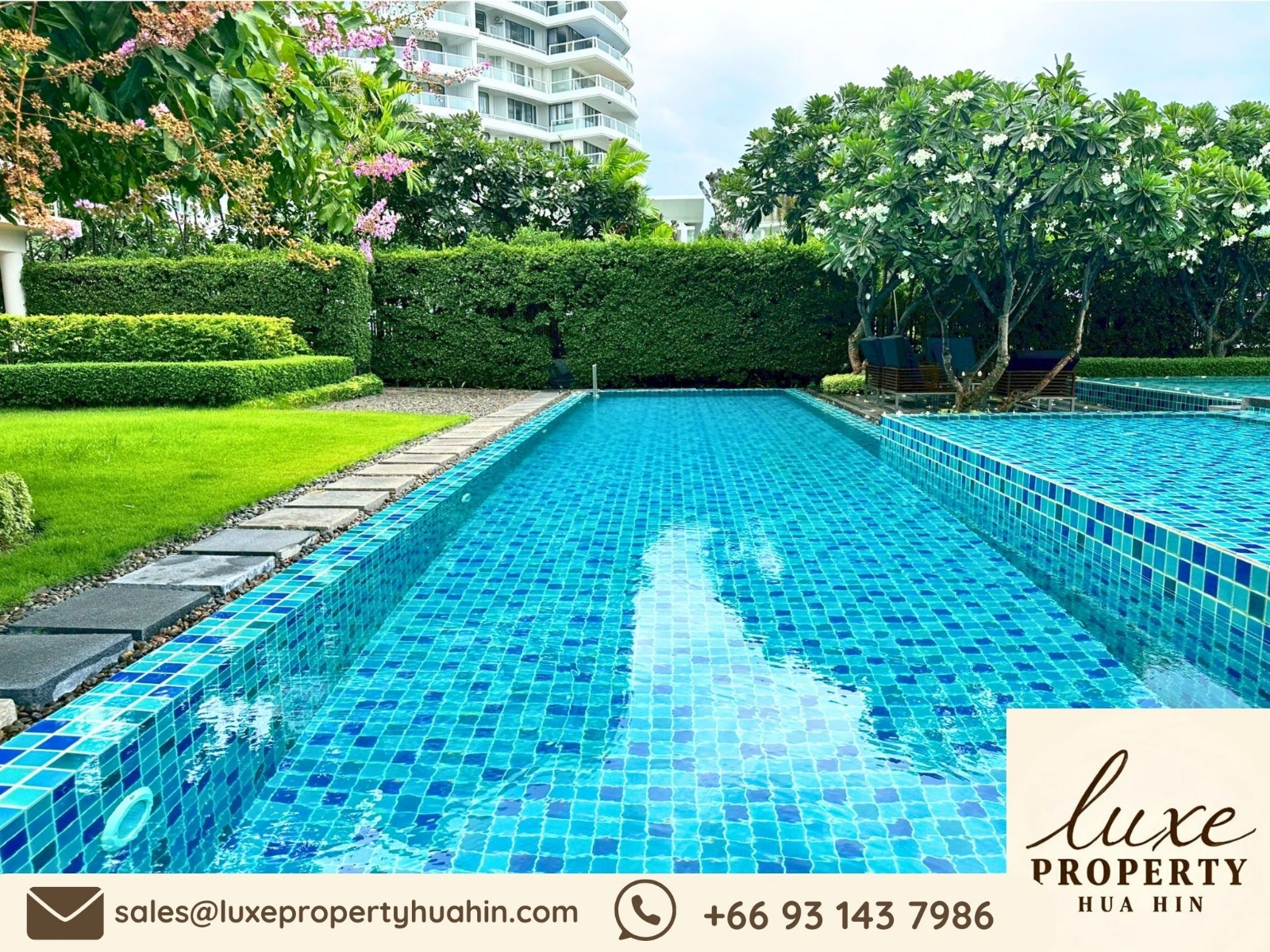 b8cb3ce3-cb24-4945-9d51-826bf441aa79